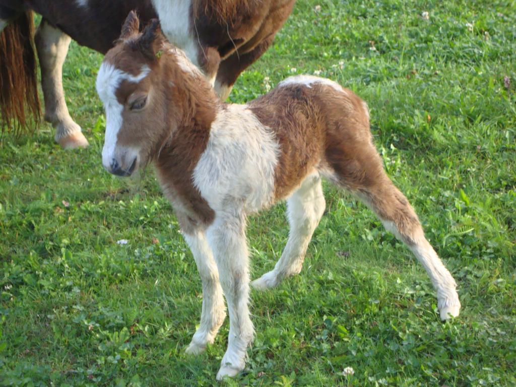 Winnewieser Vandoies Zewnętrze zdjęcie
