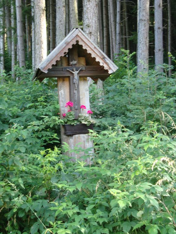 Winnewieser Vandoies Zewnętrze zdjęcie