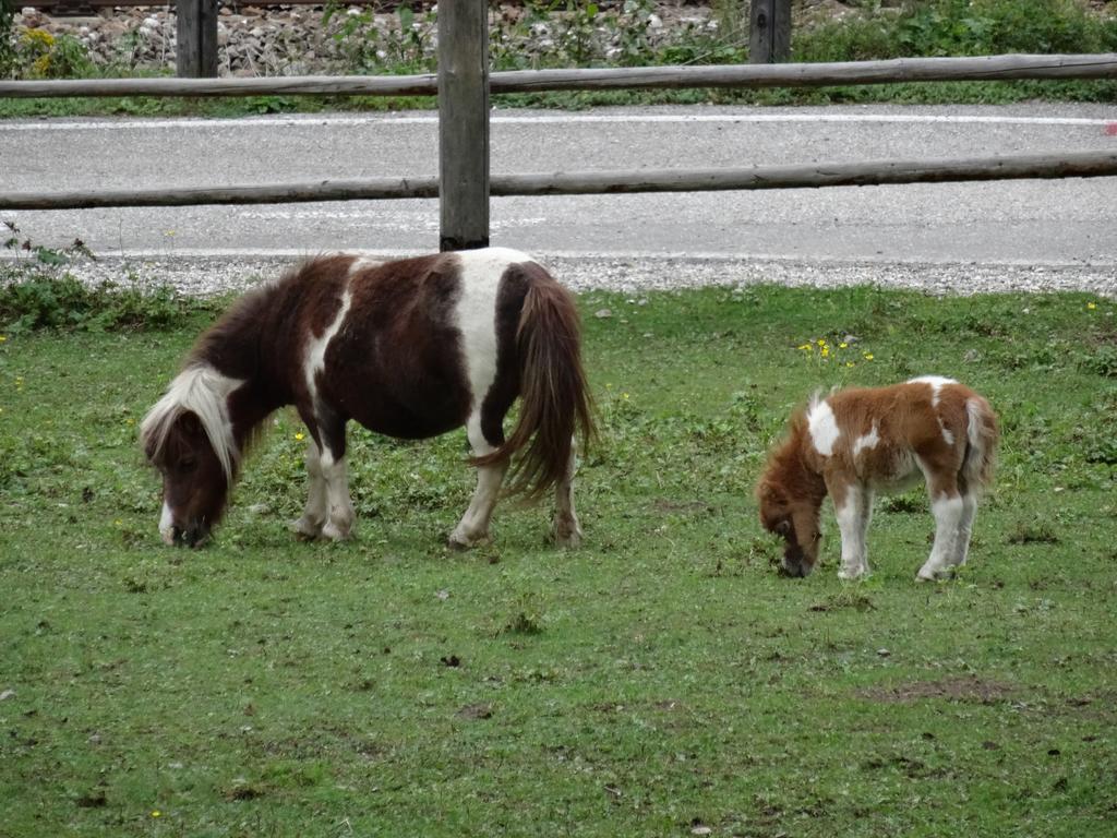 Winnewieser Vandoies Zewnętrze zdjęcie
