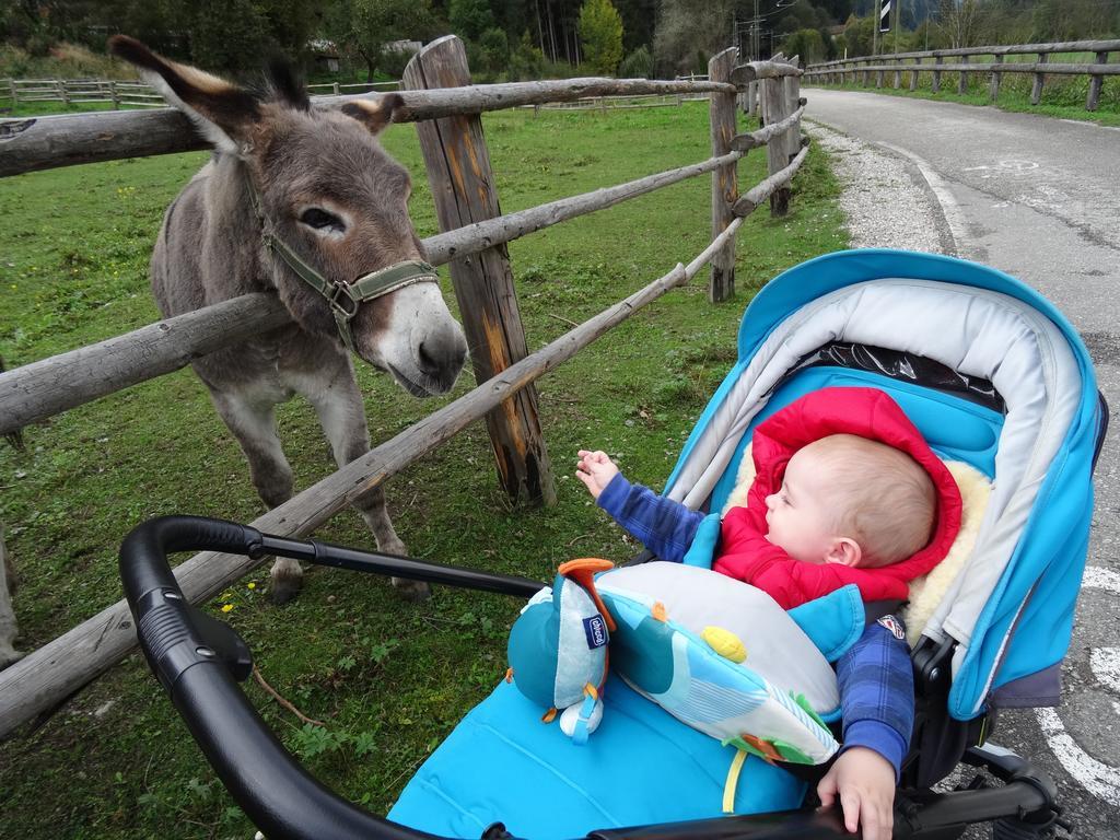 Winnewieser Vandoies Zewnętrze zdjęcie